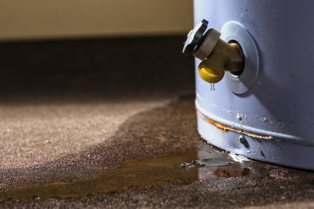 Best Water damage restoration near me  in Schnecksville, PA