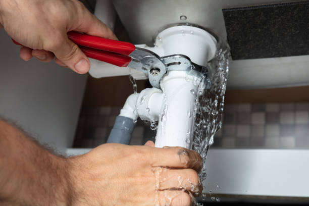 Best Local water damage restoration  in Schnecksville, PA