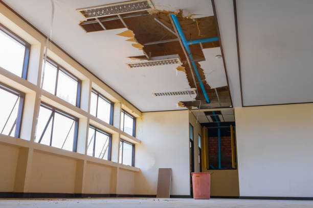 Best Carpet water damage restoration  in Schnecksville, PA