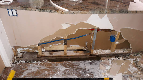 Best Residential water damage restoration  in Schnecksville, PA