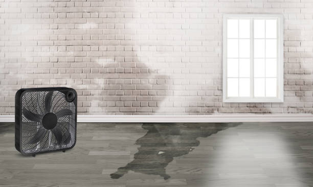 Best Sewage cleanup and water damage restoration  in Schnecksville, PA