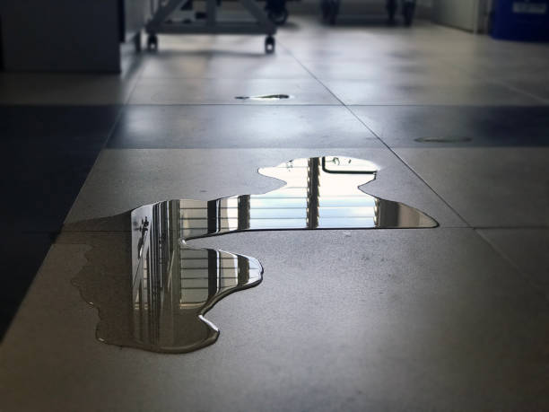 Best Water damage restoration experts  in Schnecksville, PA