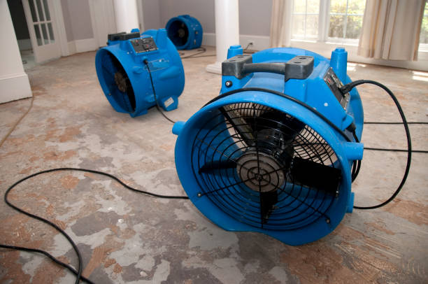 Best Commercial water damage restoration  in Schnecksville, PA