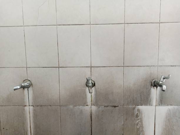 Best Water damage contractors near me  in Schnecksville, PA