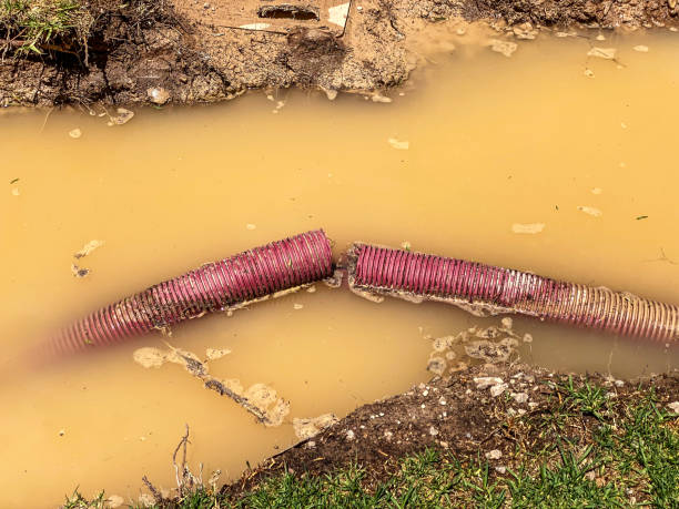 Best Water damage restoration near me  in Schnecksville, PA