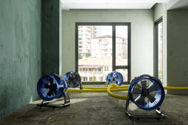 Best Ceiling water damage repair  in Schnecksville, PA